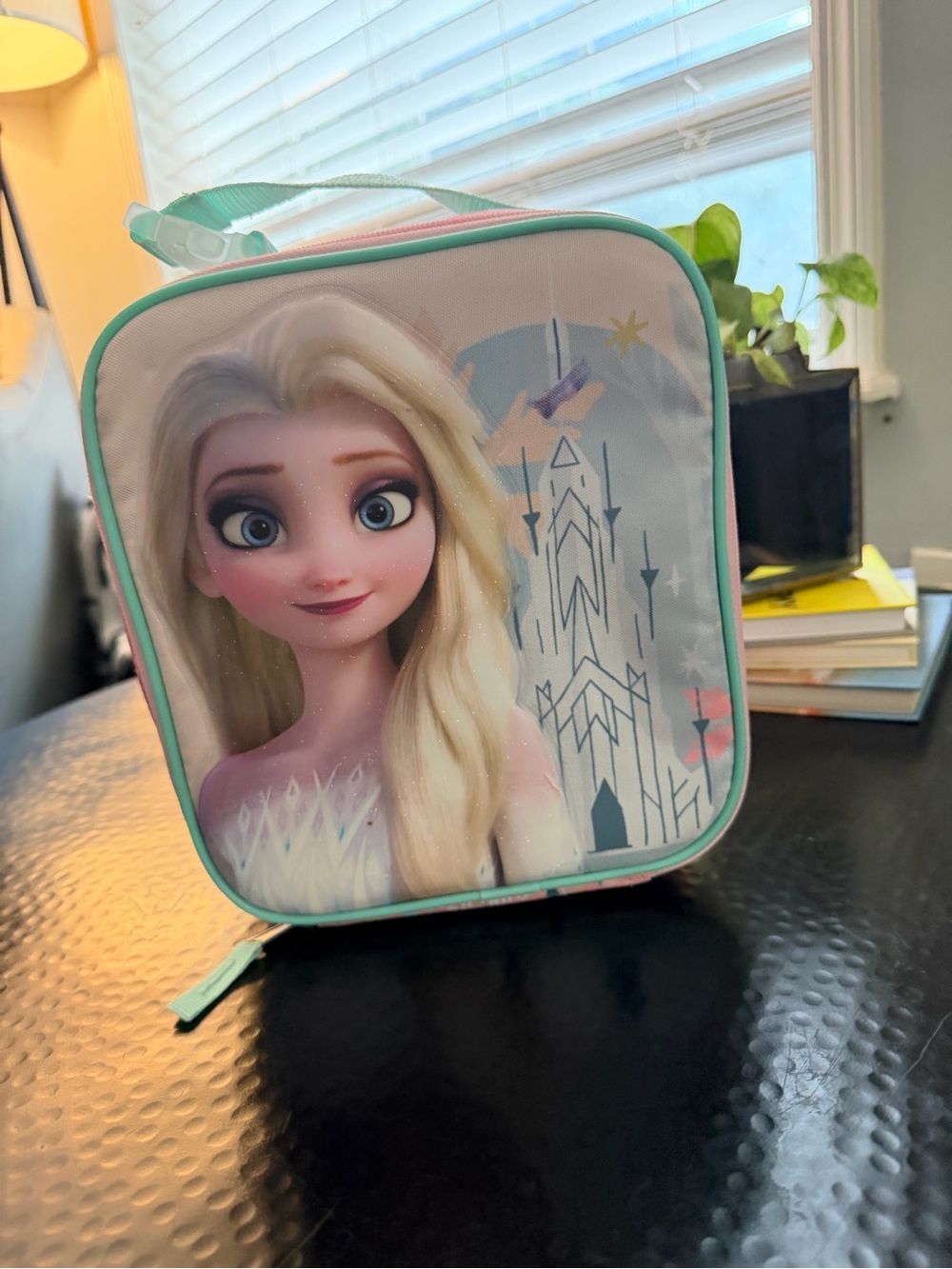 Elsa and Ana Frozen Lunch Box